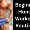 Beginner Home Workout Routine