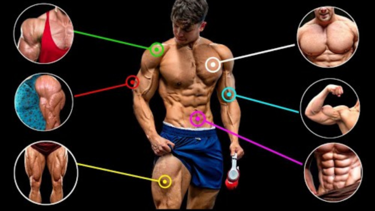 Home Workout Without Equipment